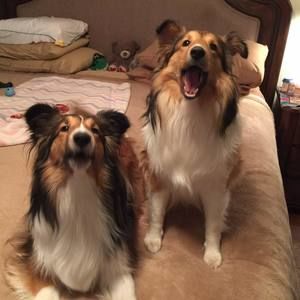 Meet your Posher, Jack